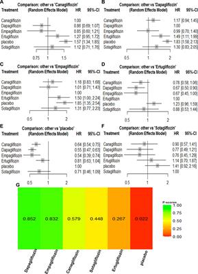 Cardiovascular and renal outcomes with sodium glucose co-transporter 2 inhibitors in patients with type 2 diabetes mellitus: A system review and network meta-analysis